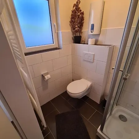 Leo * Растеде