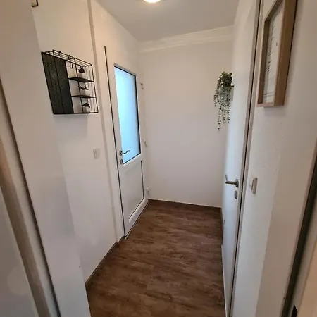 Leo * Растеде